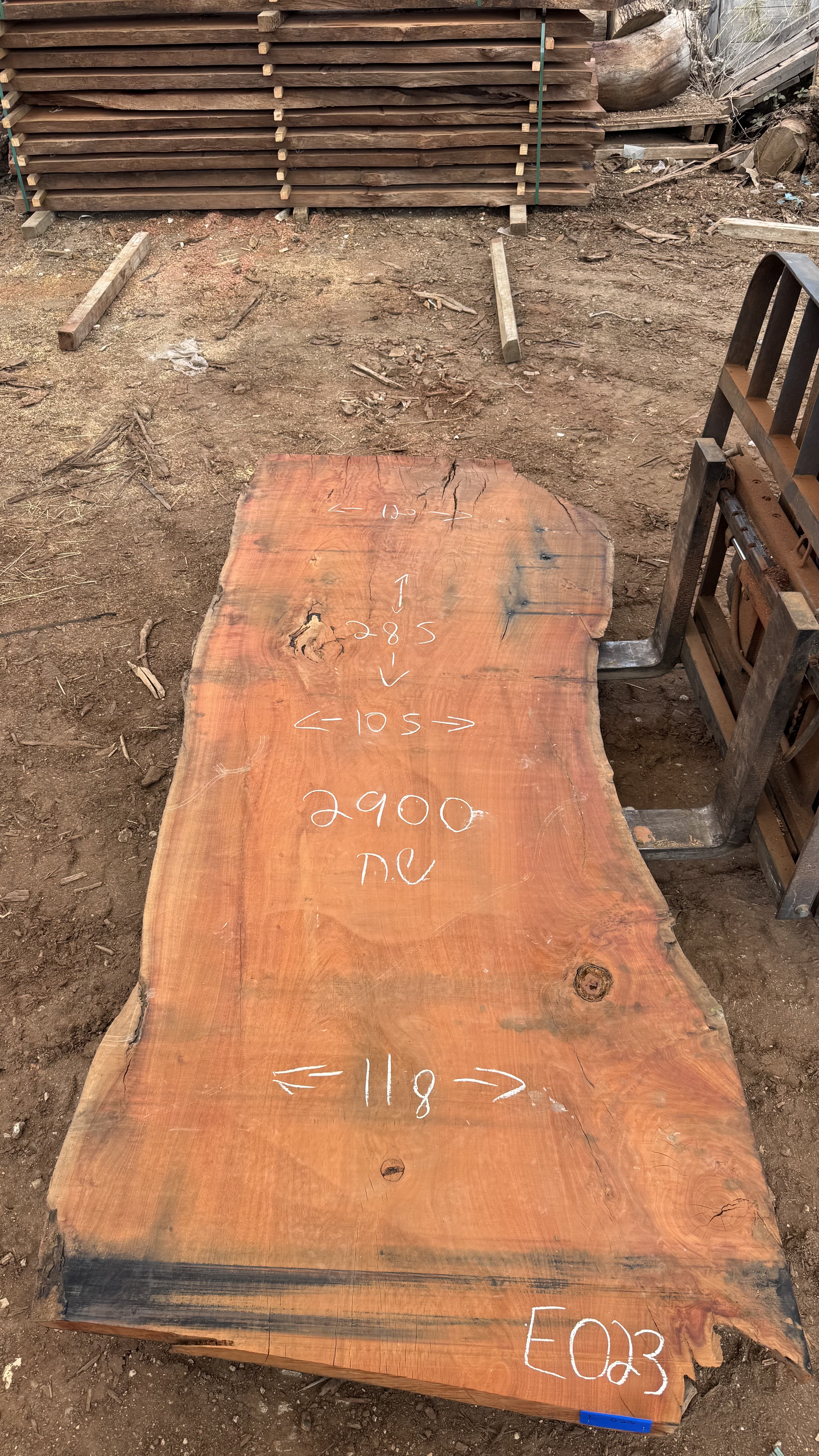 פלטת אקליפטוס אדום מספר E023